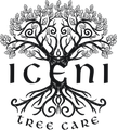 Iceni Tree Care